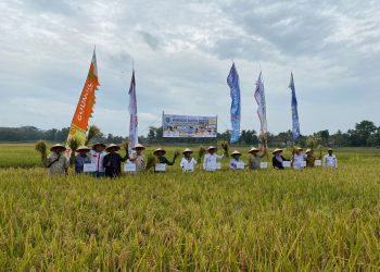 Jaga&nbsp; Ketahanan Pangan,OKI Optimalkan Potensi Lahan Pertanian