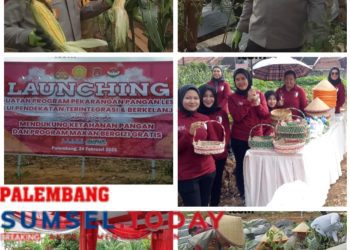 Polda Sumsel Me-launching Secara Serentak Program Pekarangan Pangan Lestari